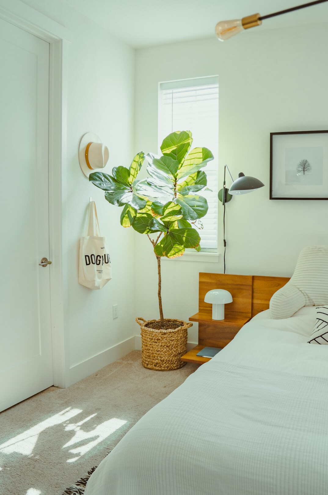 modern bedroom with plants